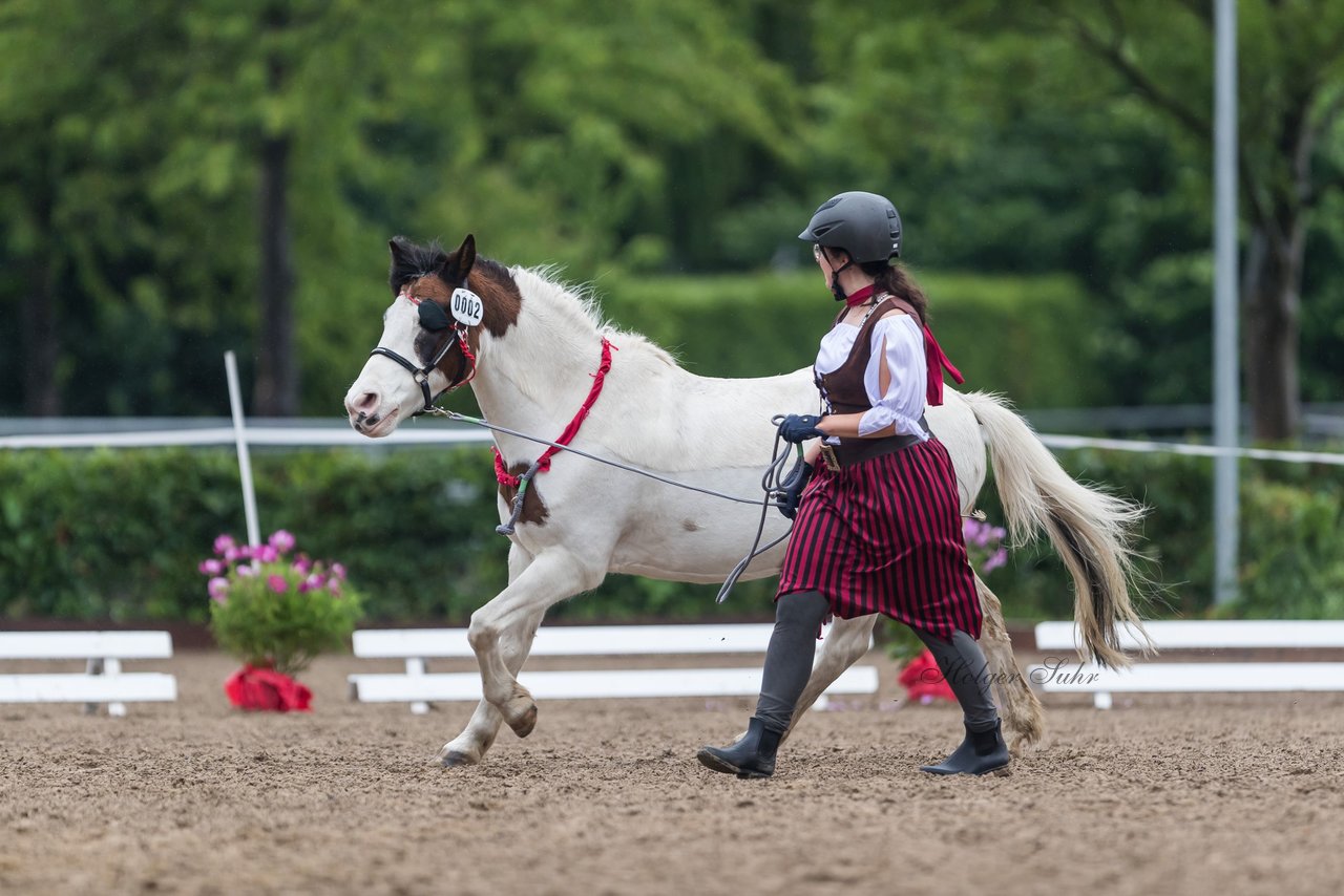 Bild 26 - Pony Akademie Turnier